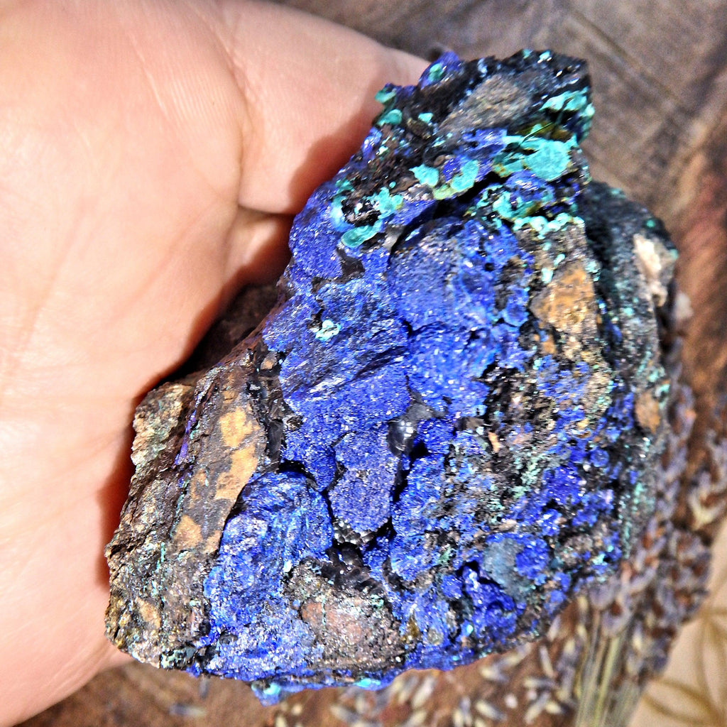 Gorgeous Cobalt Blue Azurite Druzy Geode With Malachite Inclusions From Arizona - Earth Family Crystals