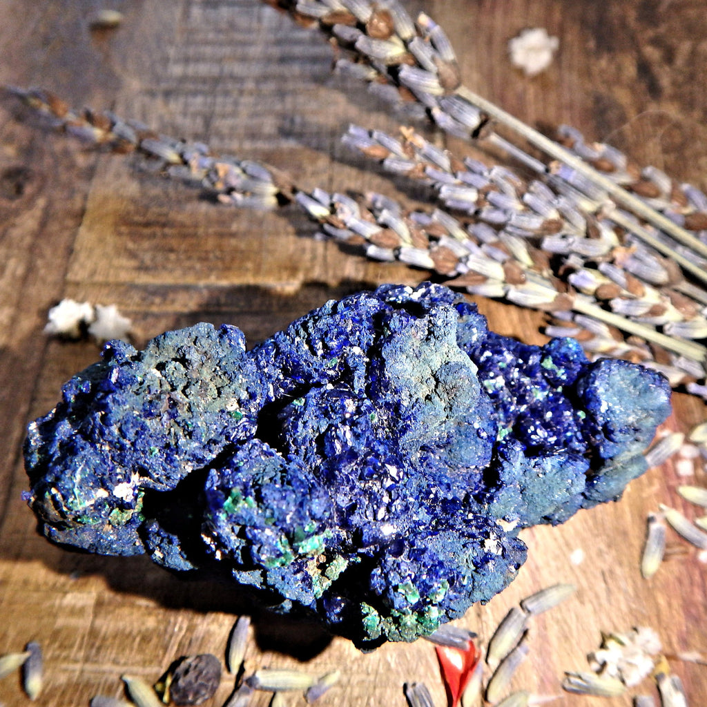 Deep Cobalt Blue Azurite Specimen from Morenci Mine, Arizona - Earth Family Crystals