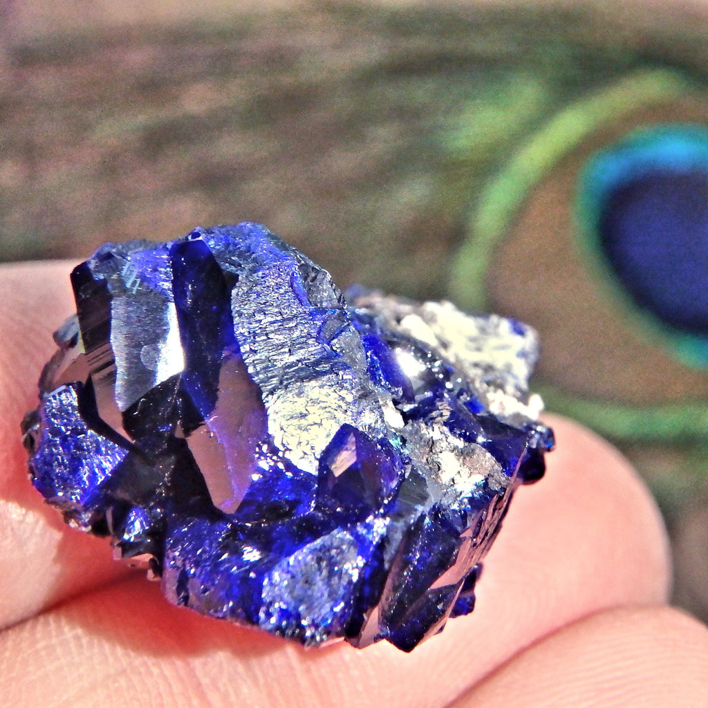 Deep Cobalt Blue Crystallized Azurite Dainty Collectors Specimen From Mexico - Earth Family Crystals