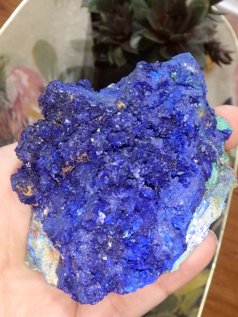 Azure Blue Sparkle Azurite With Malachite Inclusions From Morocco - Earth Family Crystals
