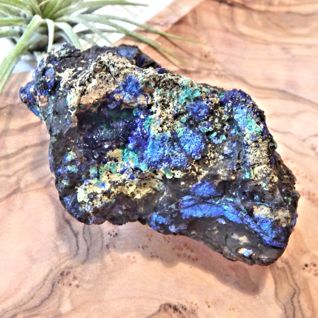 Moonlit Walk Pockets of Azurite Crystals & Mossy Malachite Specimen From Arizona - Earth Family Crystals