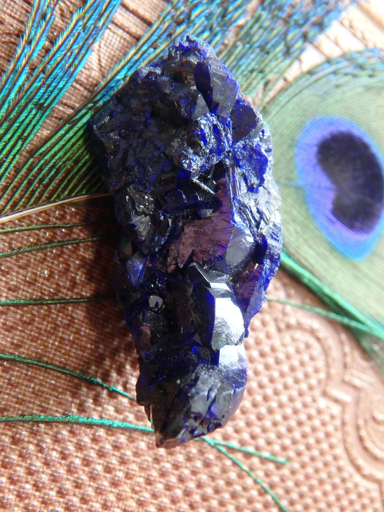 Gemmy Cobalt Blue Crystal Azurite  From Mexico - Earth Family Crystals