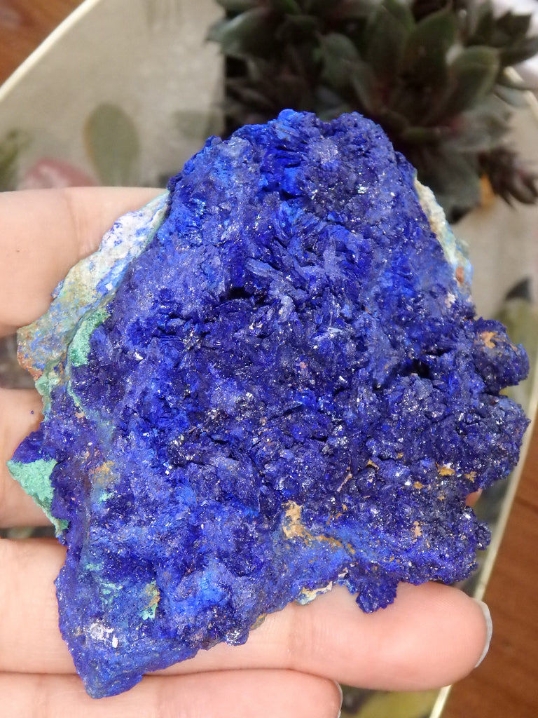 Azure Blue Sparkle Azurite With Malachite Inclusions From Morocco - Earth Family Crystals