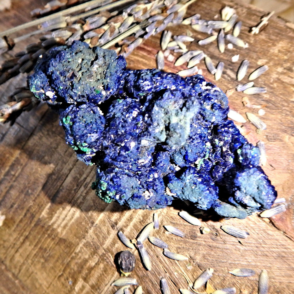 Deep Cobalt Blue Azurite Specimen from Morenci Mine, Arizona - Earth Family Crystals