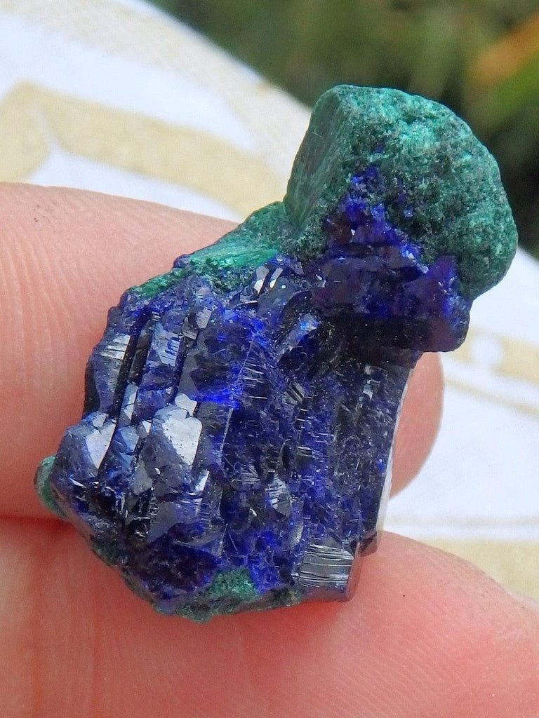 Lustrous Cobalt Blue Azurite & Silky Green Malachite Collectors Specimen - Earth Family Crystals