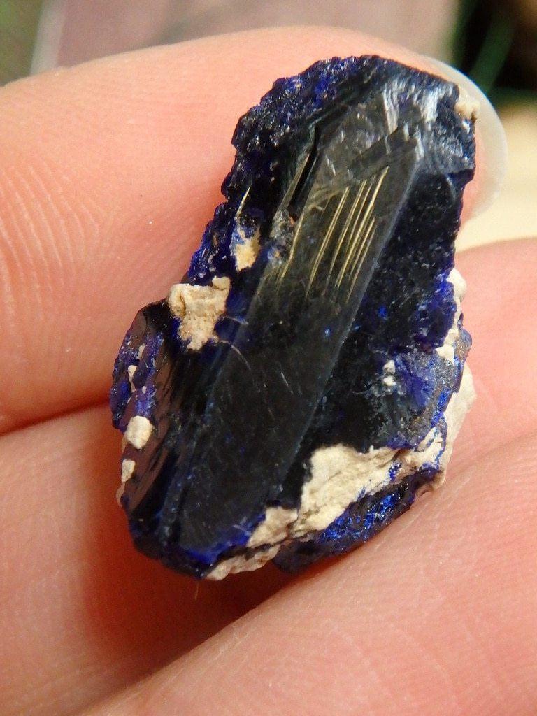 Dark Blue Azurite Crystal  Specimen In Collectors Box 1 - Earth Family Crystals