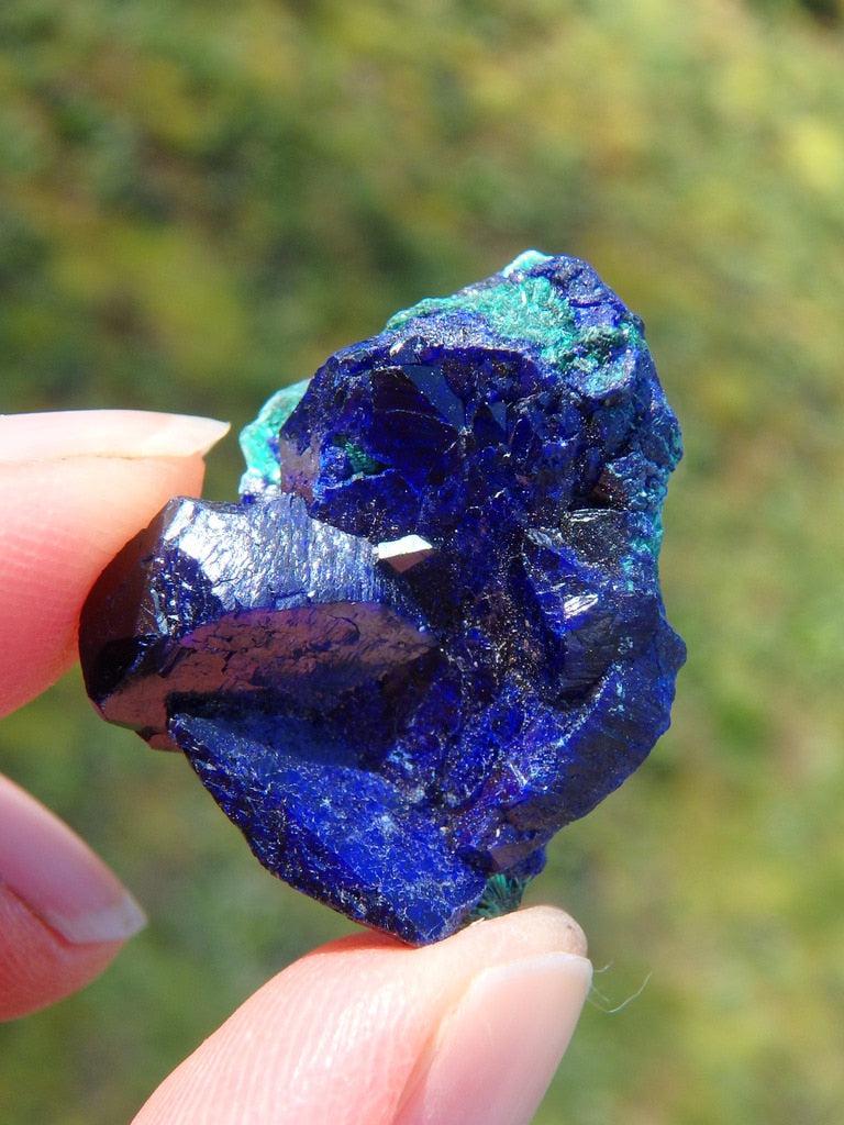 Rare!  Dark Blue Azurite Crystal With Malachite Inclusions - Earth Family Crystals