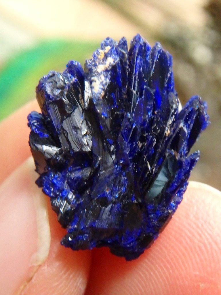 Dark Blue Azurite Crystal  Specimen In Collectors Box 2 - Earth Family Crystals