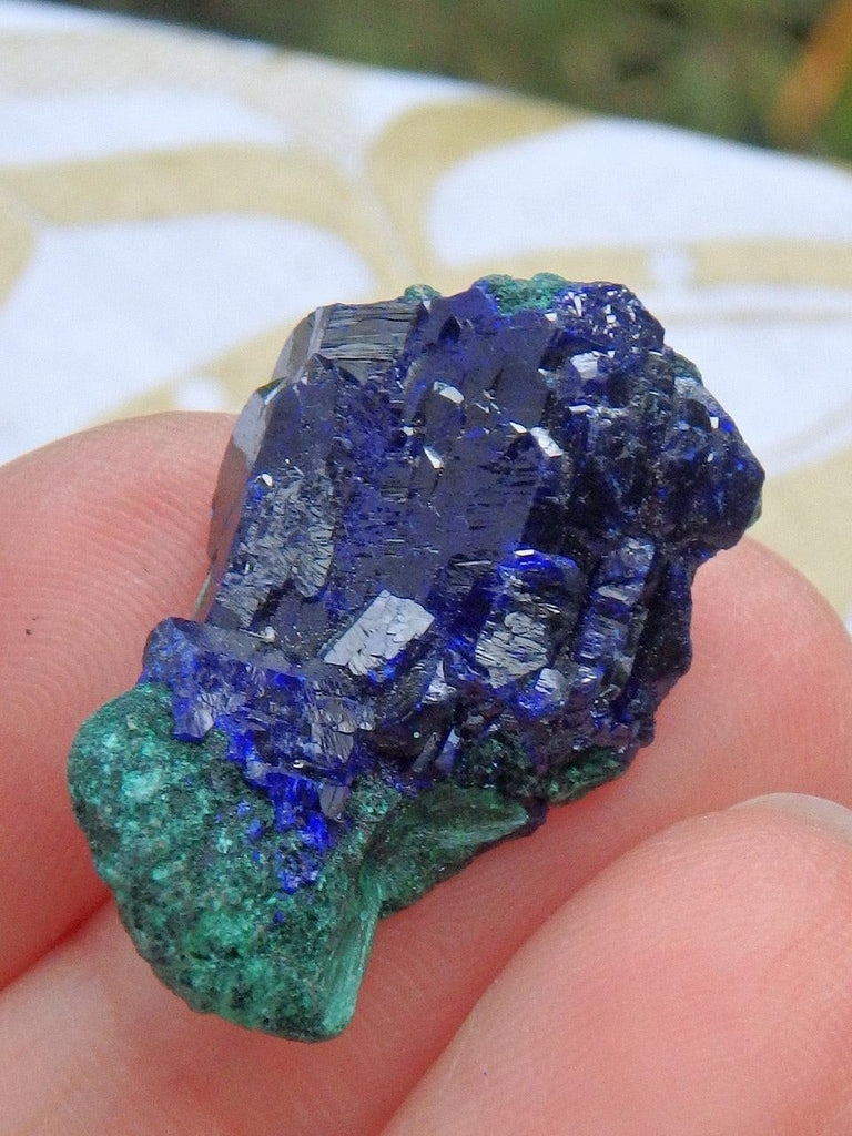 Lustrous Cobalt Blue Azurite & Silky Green Malachite Collectors Specimen - Earth Family Crystals