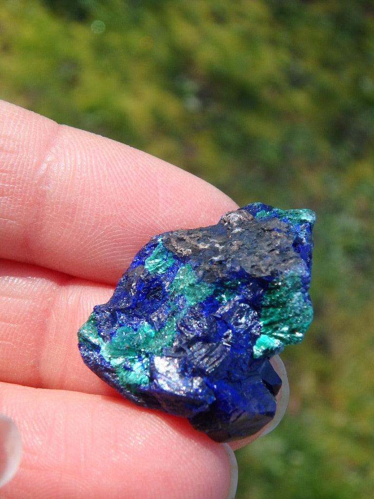 Rare!  Dark Blue Azurite Crystal With Malachite Inclusions - Earth Family Crystals