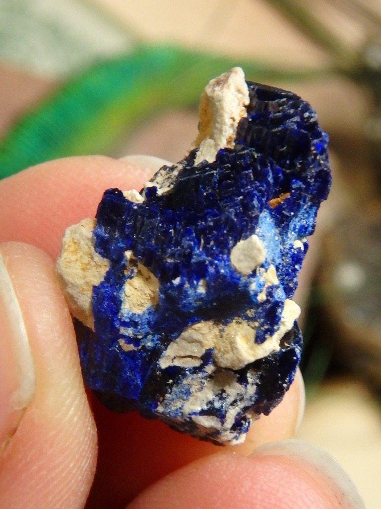 Dark Blue Azurite Crystal  Specimen In Collectors Box 1 - Earth Family Crystals