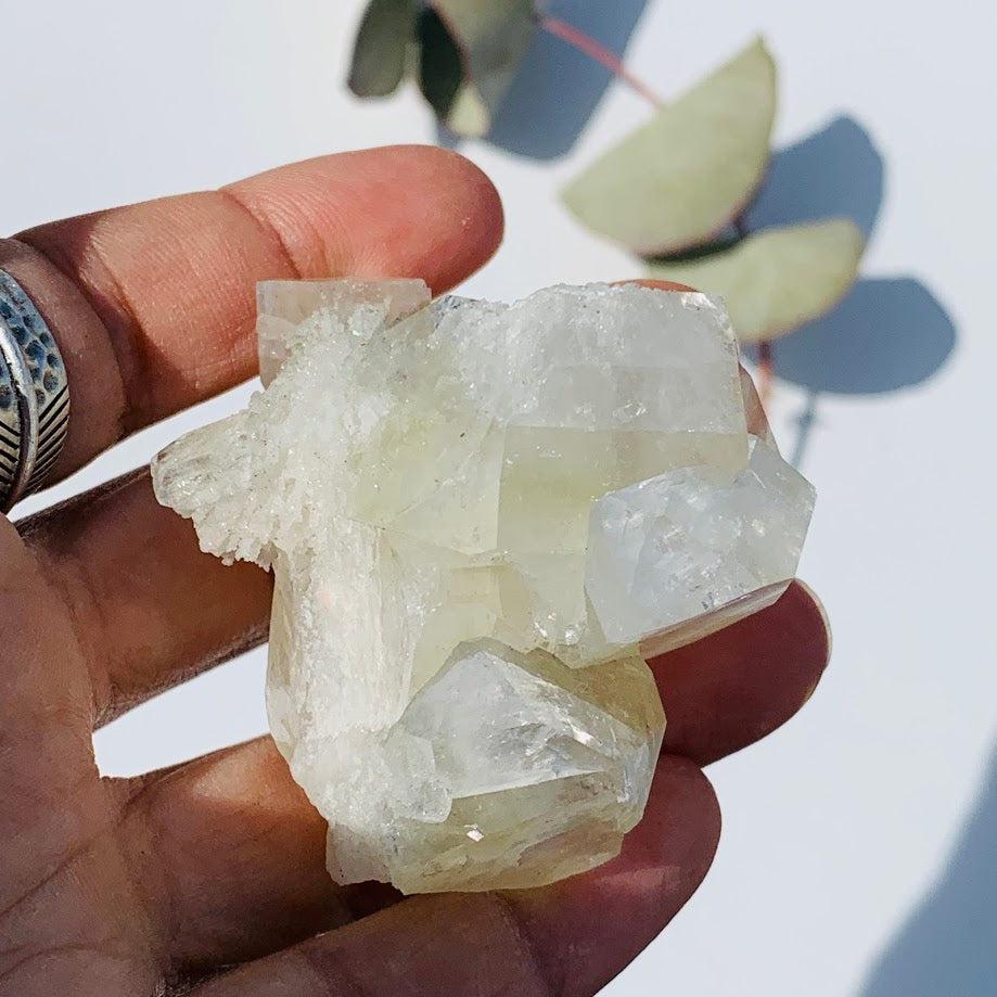 Gemmy Green & Clear Apophyllite Cluster from India #8 - Earth Family Crystals