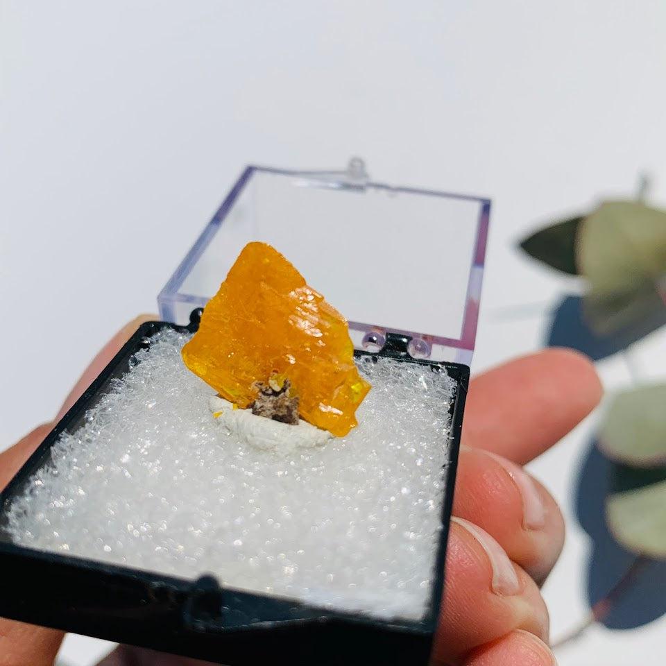 Vibrant Orange Wulfenite Crystal From Old Yuma Mine, Pima Co, Arizona in Collectors Box - Earth Family Crystals
