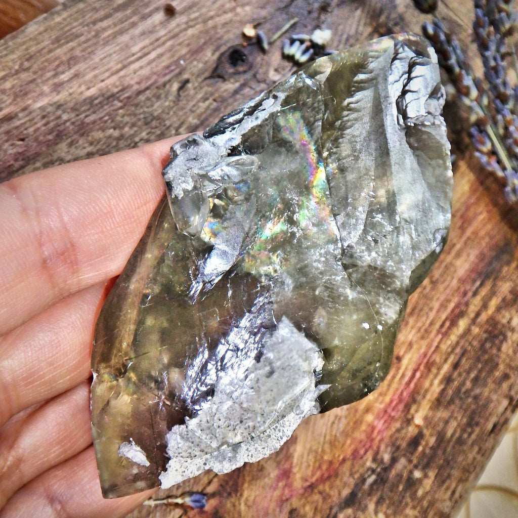 RESERVED For PEGGY~ Intense Rainbows~ Shiny Golden Barite Natural DT Point Specimen - Earth Family Crystals