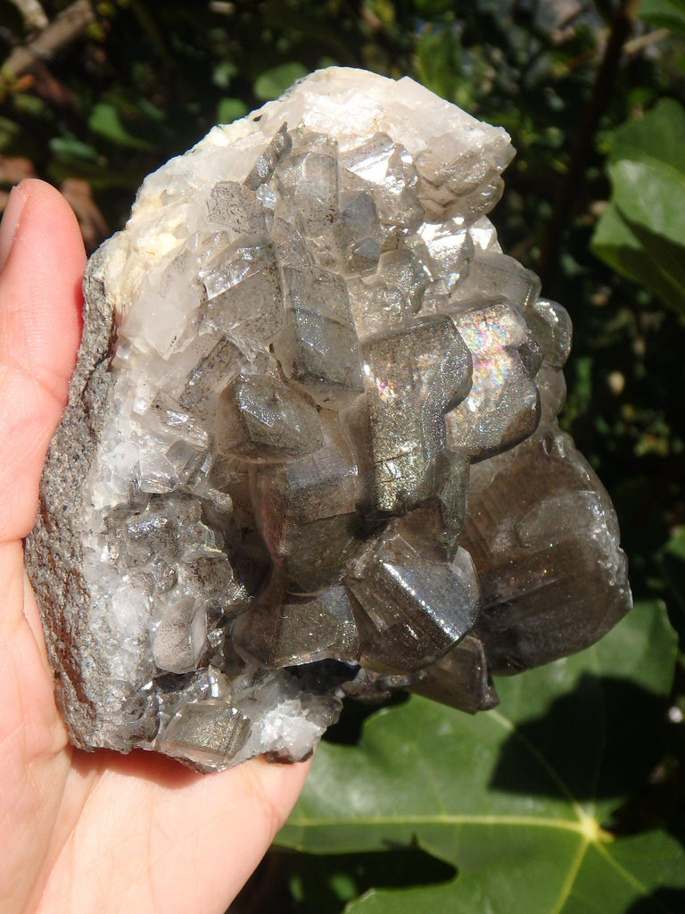 Large Barite Loaded With Rainbows Cluster Specimen - Earth Family Crystals