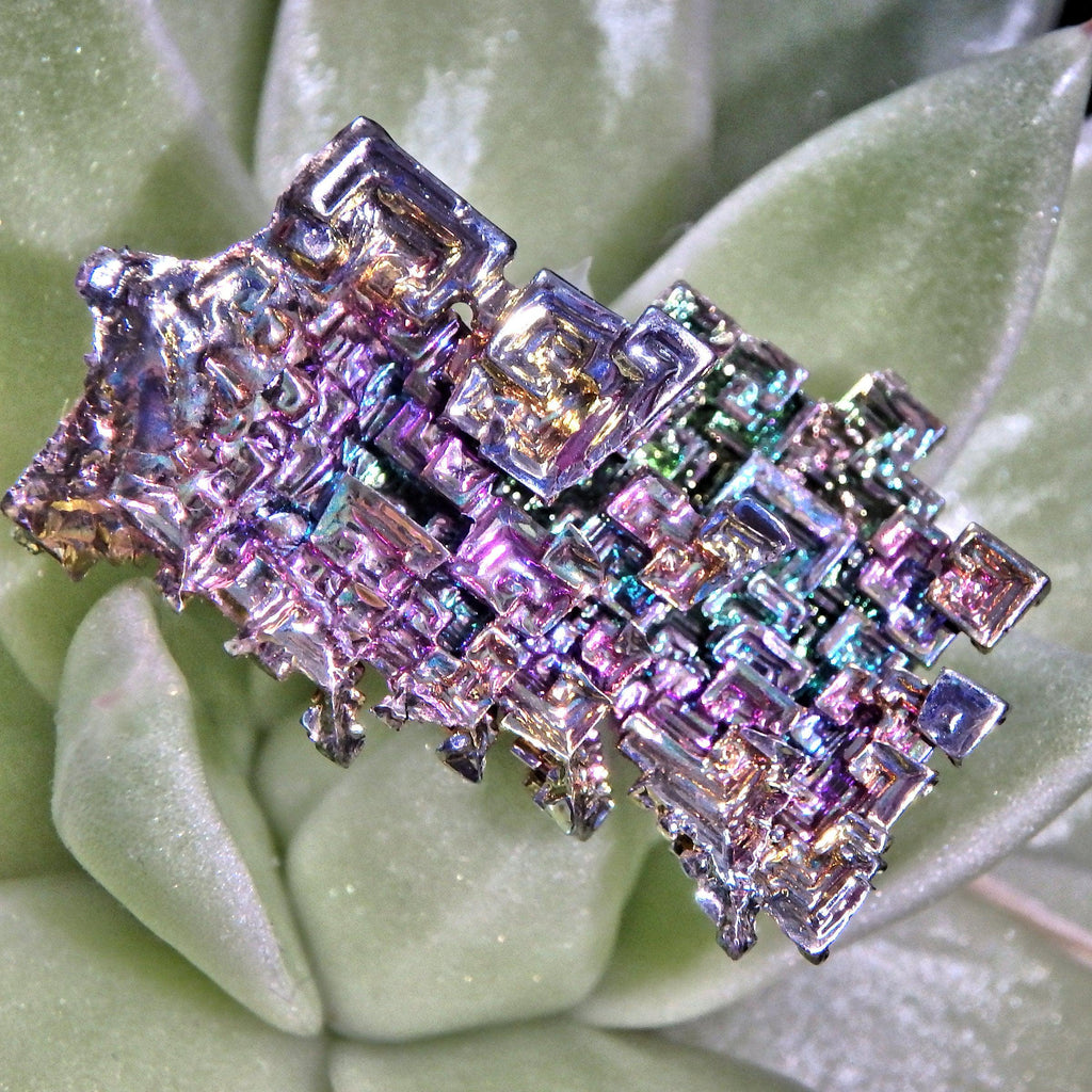 Galactic Village Rainbow Bismuth Specimen 2 - Earth Family Crystals
