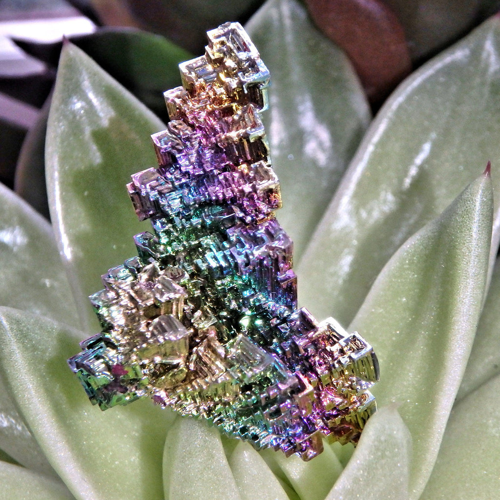 Galactic Village Rainbow Bismuth Specimen 1 - Earth Family Crystals