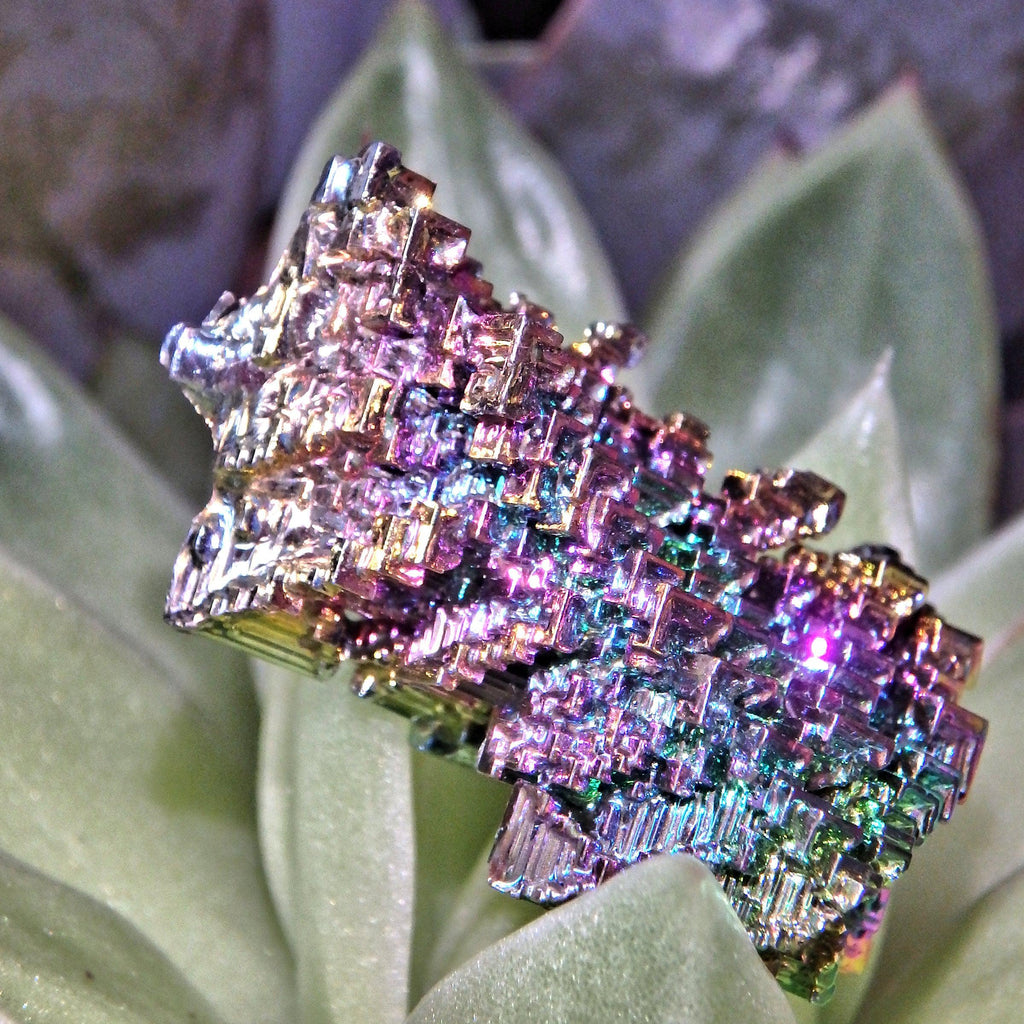 Galactic Village Rainbow Bismuth Specimen 2 - Earth Family Crystals