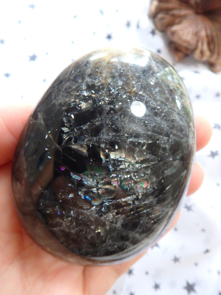 Moving Rainbow Sparkle Black Moonstone Specimen From Madagascar - Earth Family Crystals