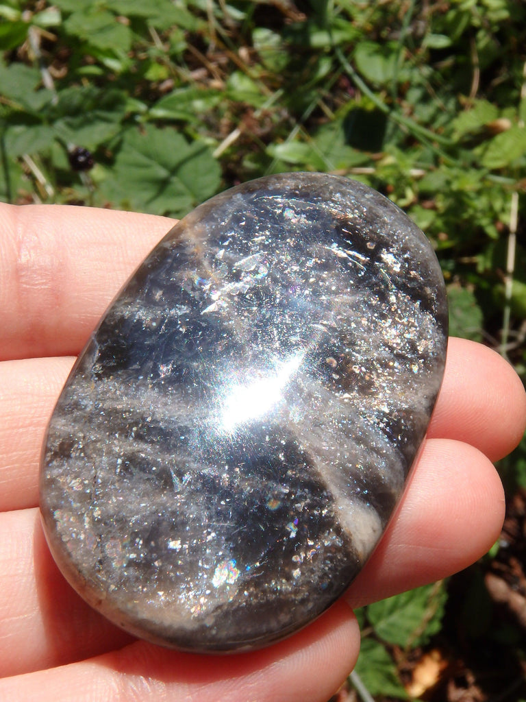 Loads of Galactic Sparkle Black Moonstone Specimen - Earth Family Crystals