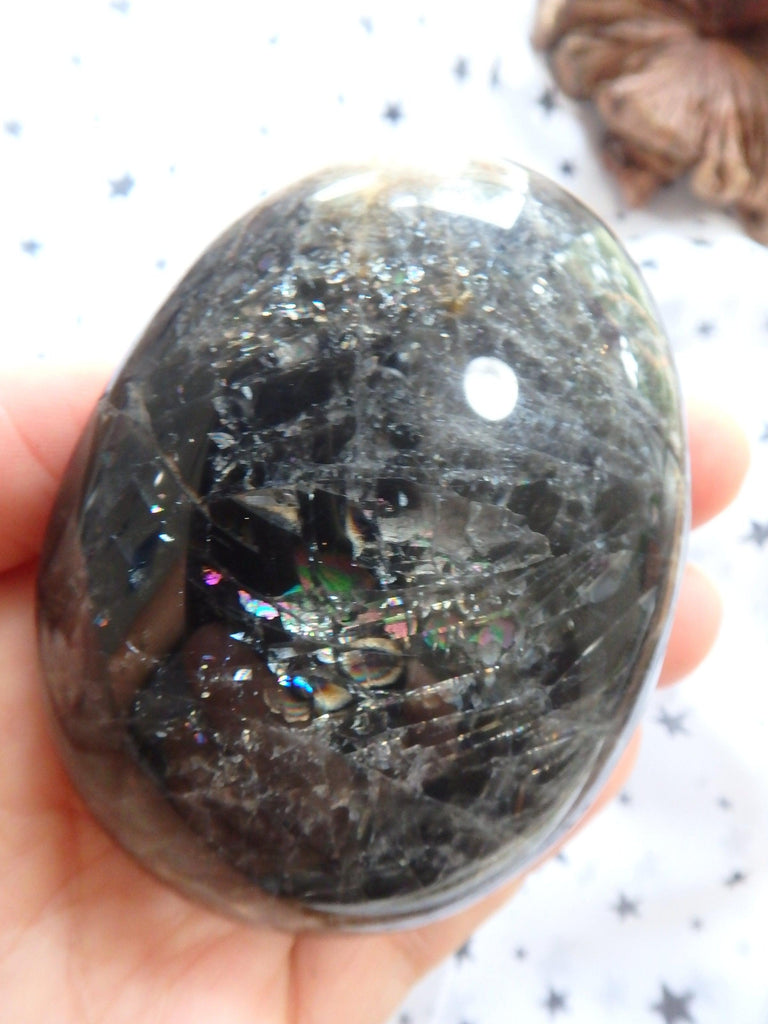 Moving Rainbow Sparkle Black Moonstone Specimen From Madagascar - Earth Family Crystals