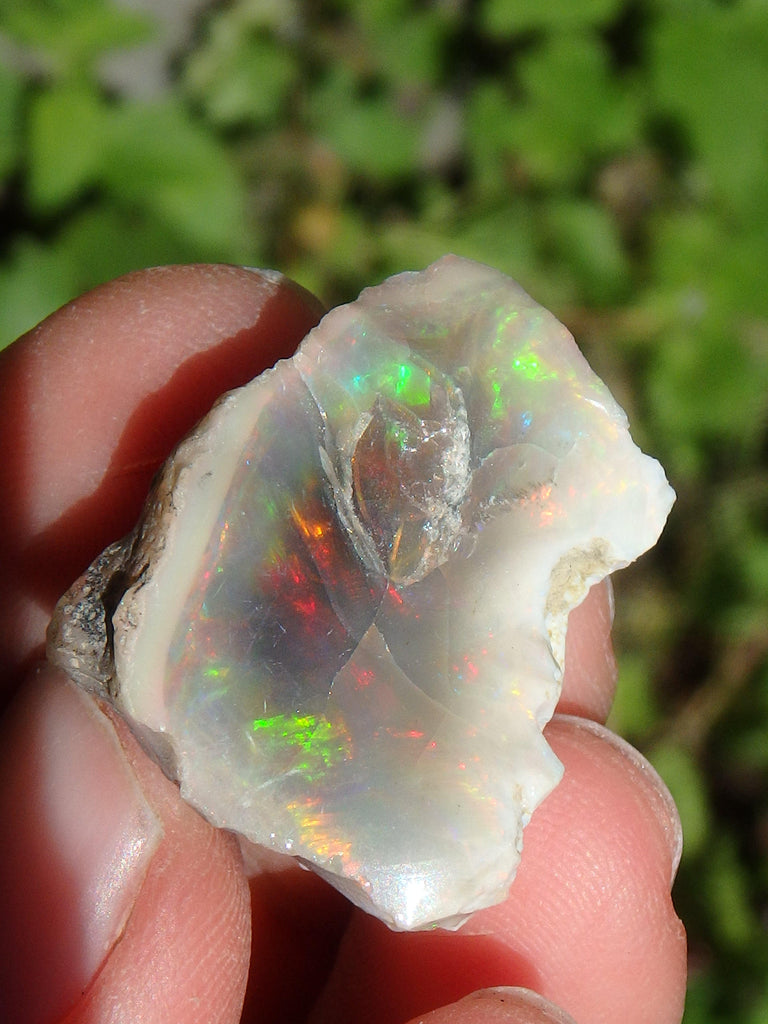 Extreme Sparkle Raw Black Opal Collector Specimen From Ethiopia - Earth Family Crystals