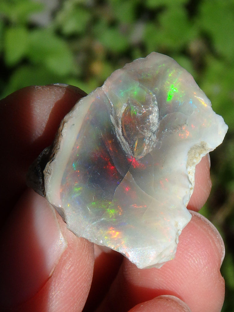 Extreme Sparkle Raw Black Opal Collector Specimen From Ethiopia - Earth Family Crystals