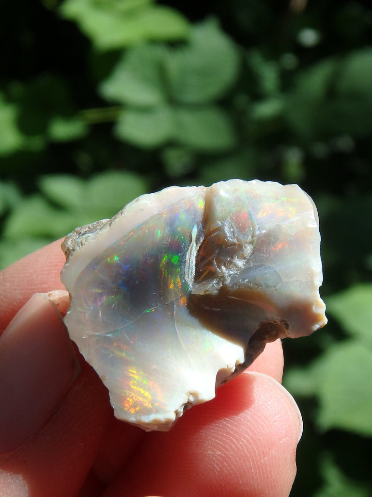 Extreme Sparkle Raw Black Opal Collector Specimen From Ethiopia - Earth Family Crystals