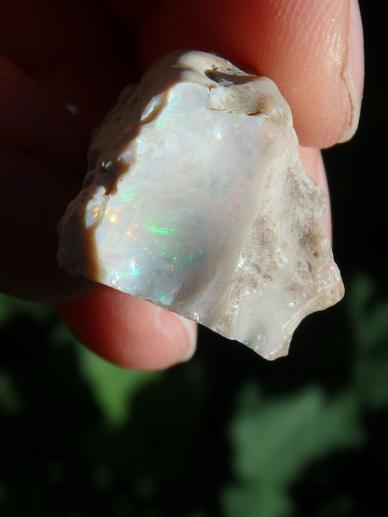 Extreme Sparkle Raw Black Opal Collector Specimen From Ethiopia - Earth Family Crystals