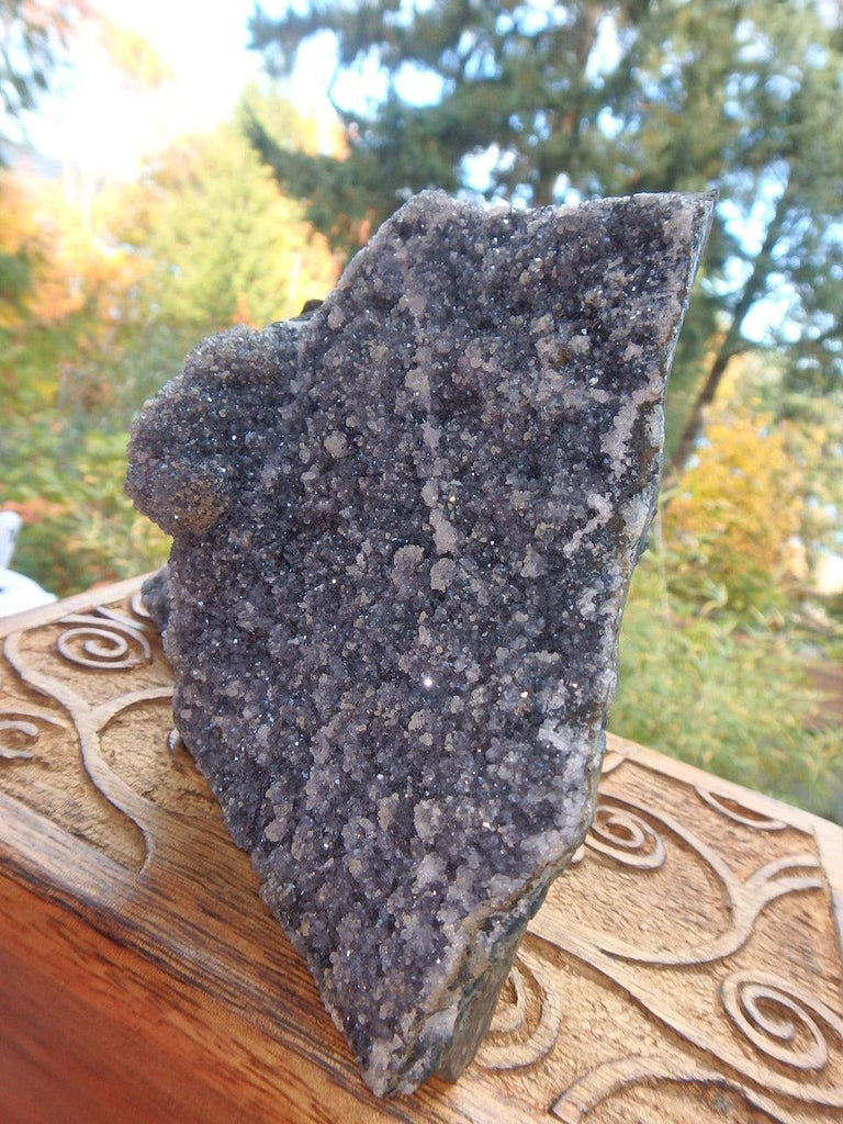 Fabulous Rare Black Amethyst Free Form Standing Display Specimen - Earth Family Crystals