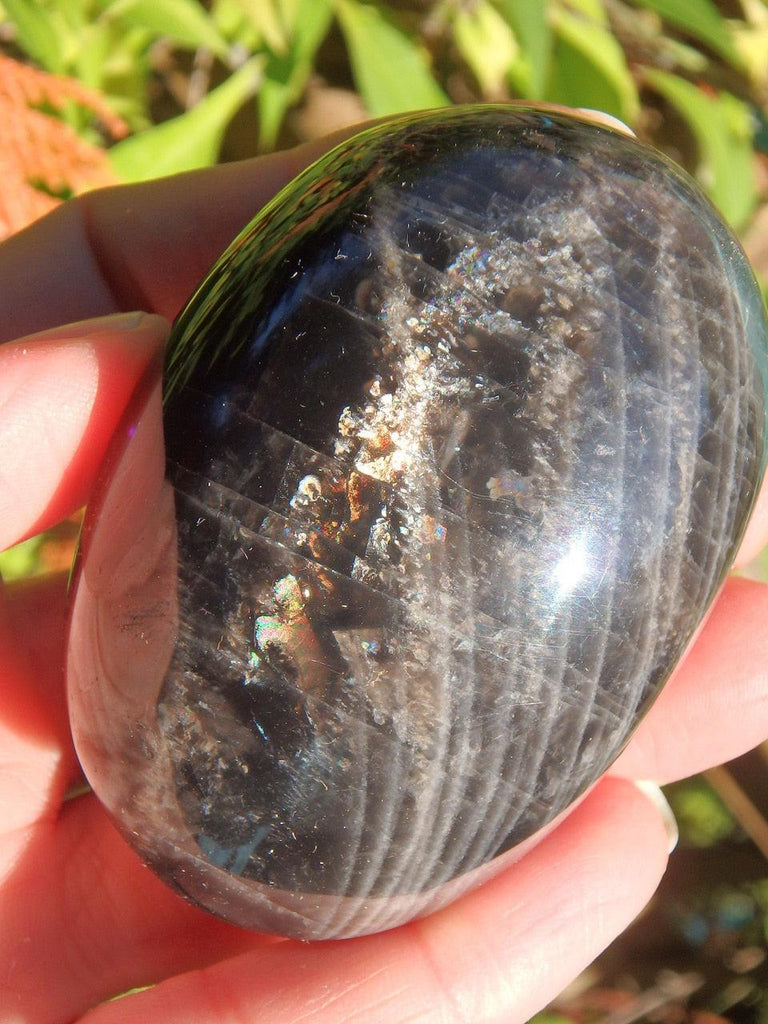 Rainbow & Sparkle Loaded Black Moonstone Hand Held Specimen - Earth Family Crystals