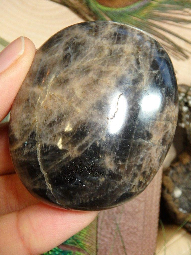 Black Moonstone Palm Stone 1 - Earth Family Crystals