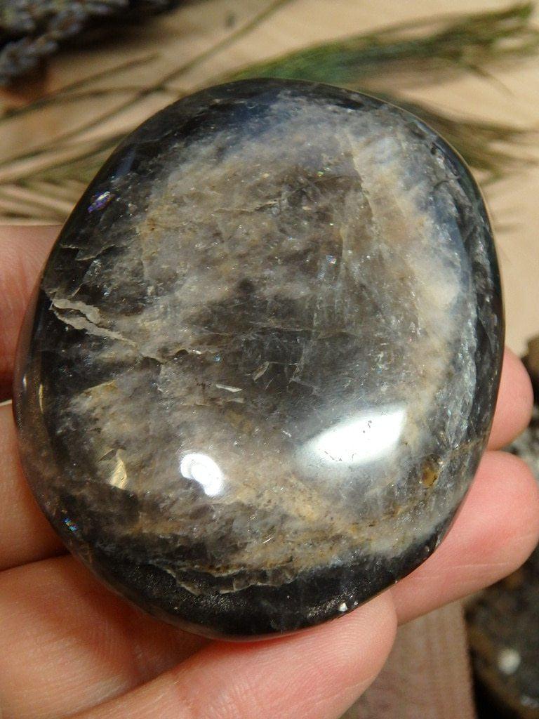 Black Moonstone Palm Stone 2 - Earth Family Crystals