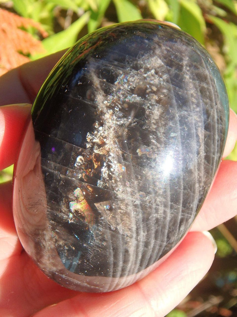 Rainbow & Sparkle Loaded Black Moonstone Hand Held Specimen - Earth Family Crystals