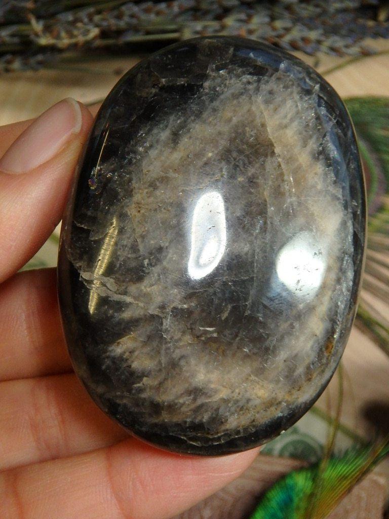 Black Moonstone Palm Stone 2 - Earth Family Crystals