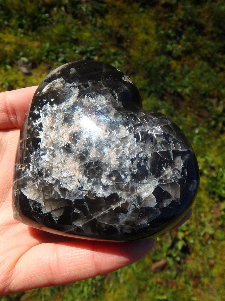 Rainbows! Mysterious Large Black Moonstone Heart Carving - Earth Family Crystals