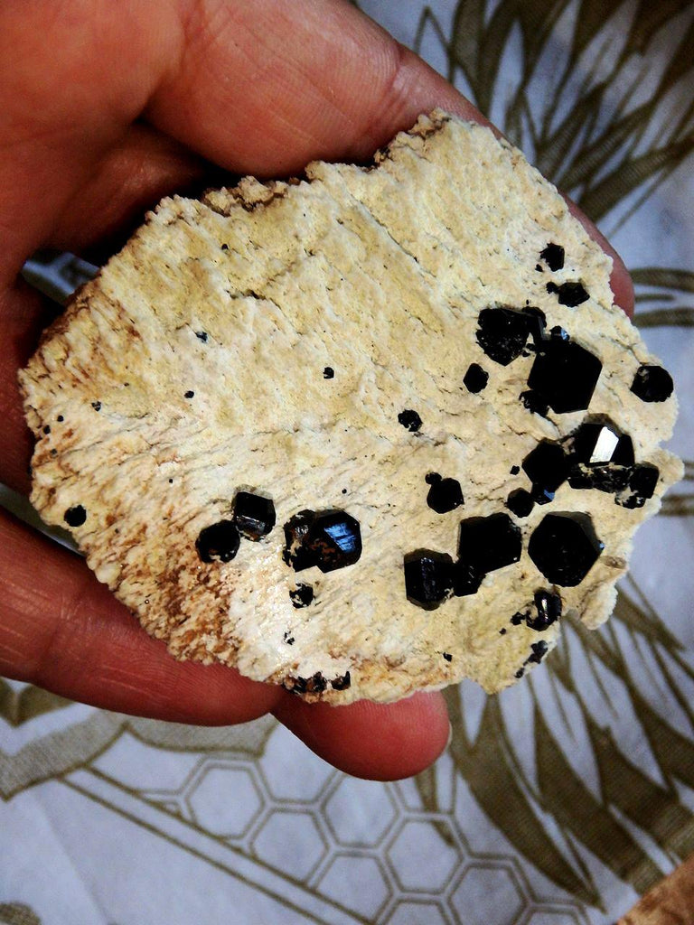 Shiny Black Tourmaline Points on Feldspar Matrix - Earth Family Crystals