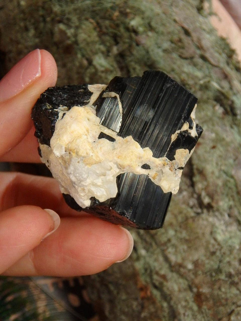 Shiny Black Tourmaline Nestled in Feldspar Matrix From Brazil - Earth Family Crystals
