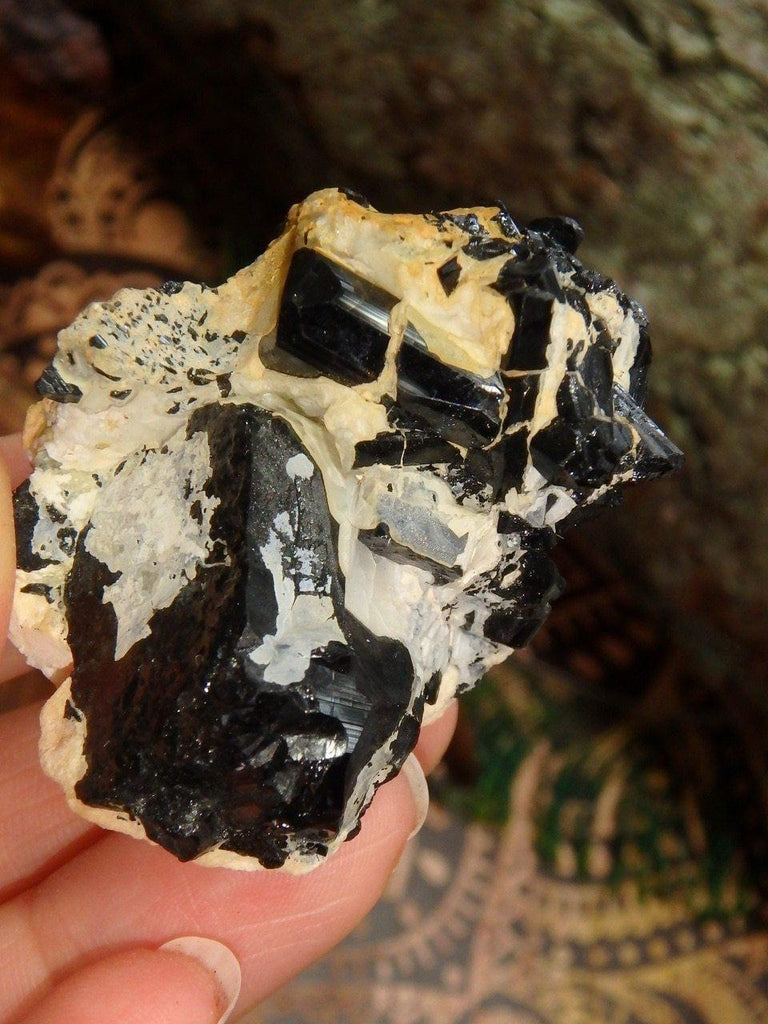 Black Tourmaline Points Nestled in Feldspar Cluster - Earth Family Crystals