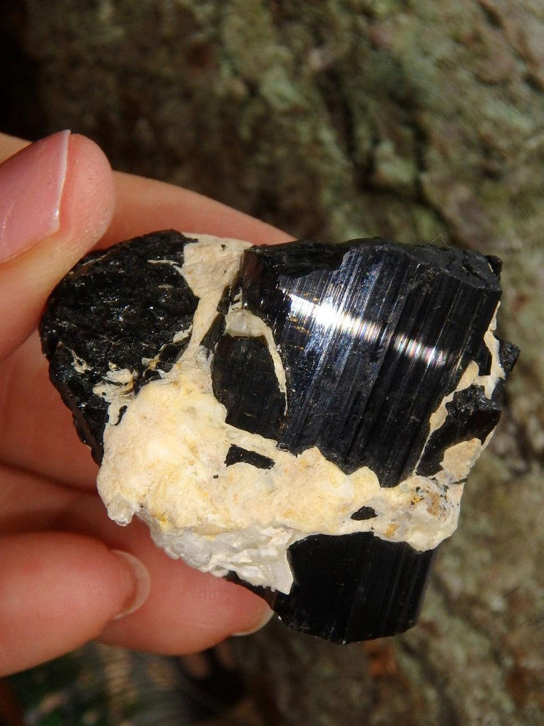 Shiny Black Tourmaline Nestled in Feldspar Matrix From Brazil - Earth Family Crystals