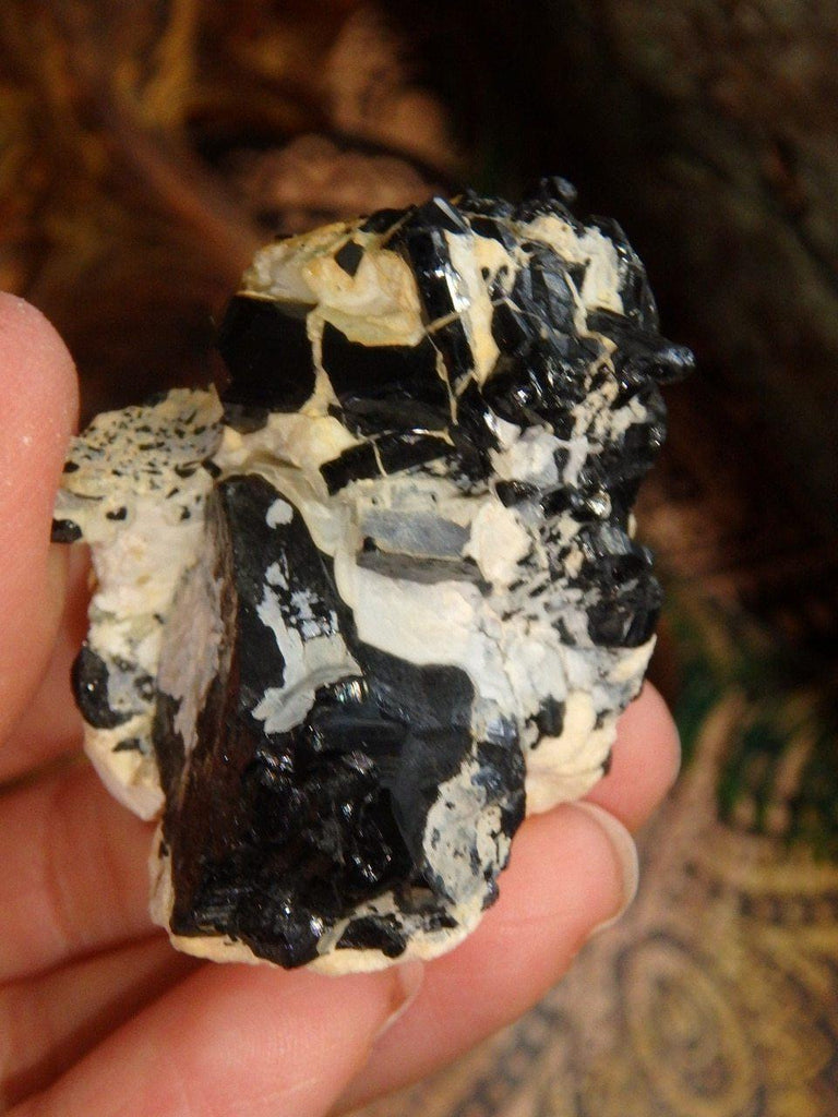 Black Tourmaline Points Nestled in Feldspar Cluster - Earth Family Crystals