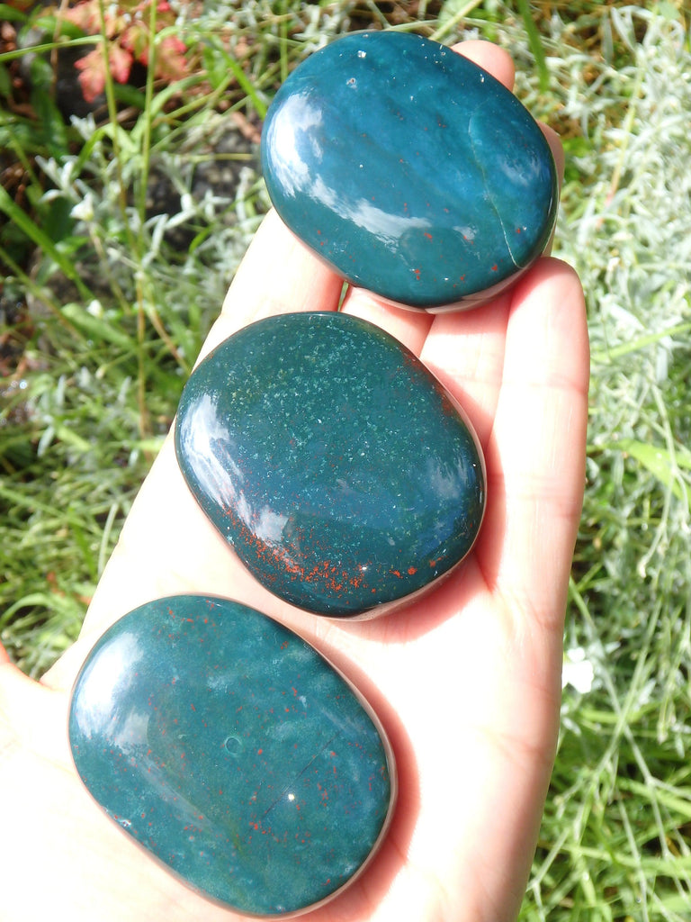 Shiny Bloodstone Polished Worry Stone (1) - Earth Family Crystals