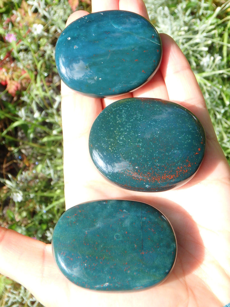 Shiny Bloodstone Polished Worry Stone (1) - Earth Family Crystals