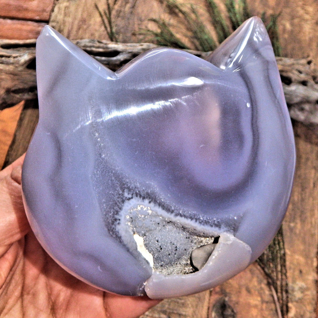 Gorgeous Druzy Geode & Blue Agate Precious Cat Head Carving 4 - Earth Family Crystals