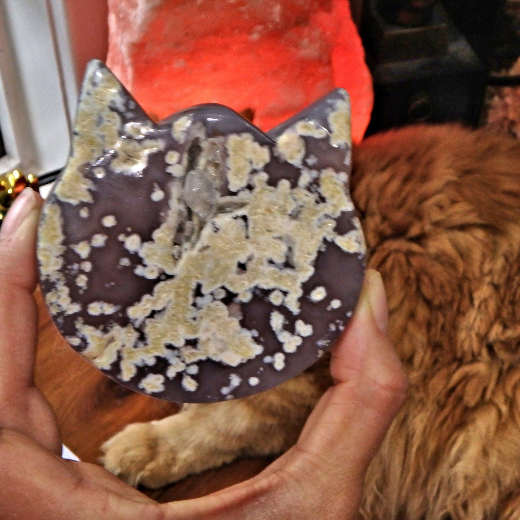 Gorgeous Druzy Geode & Blue Agate Precious Cat Head Carving 4 - Earth Family Crystals