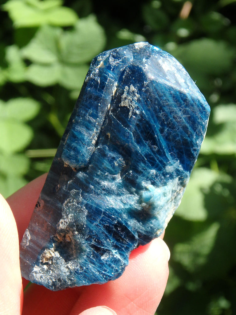 Deep Electric Blue Apatite Natural Point From Brazil 1 - Earth Family Crystals