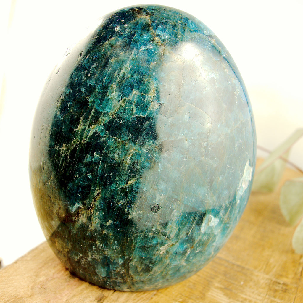 Incredible Gemmy Sheen Blue Apatite Standing Display Specimen - Earth Family Crystals