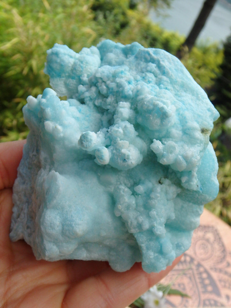 Cotton Candy Blue Aragonite Large Standing Specimen - Earth Family Crystals