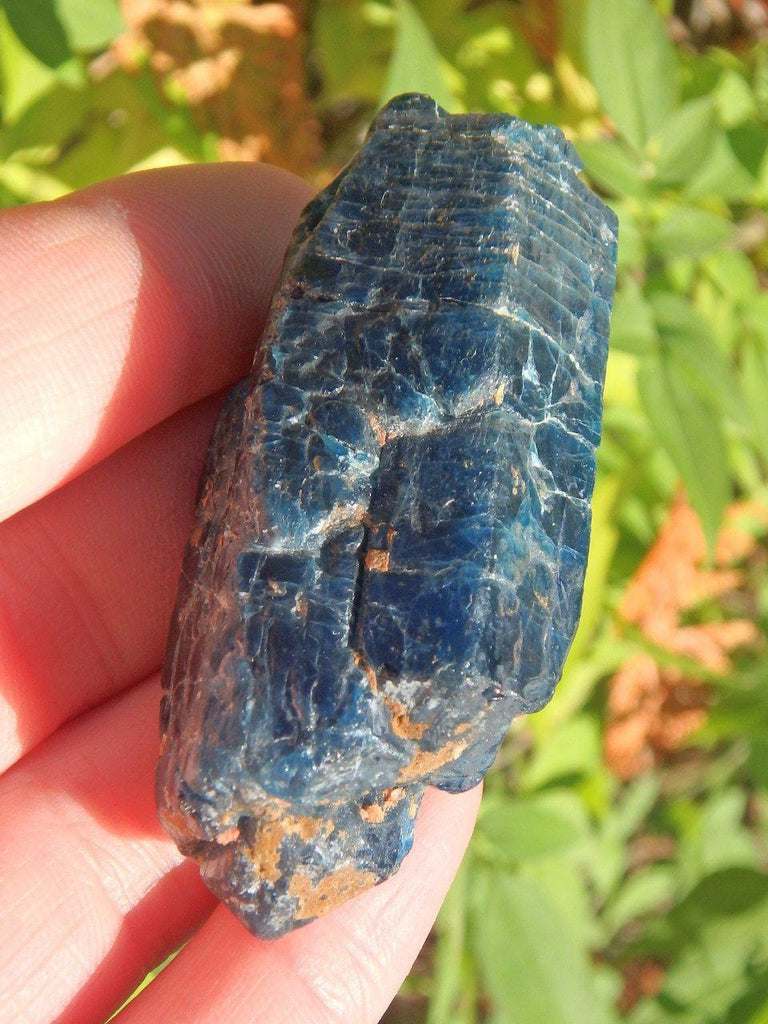 Deep & Natural Blue Apatite Point From Brazil - Earth Family Crystals