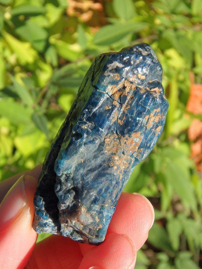 Deep & Natural Blue Apatite Point From Brazil - Earth Family Crystals